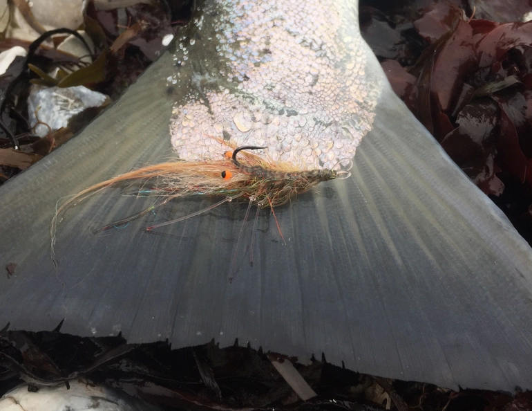 The USD strikes again The USD strikes again