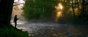 In the woods In the woods