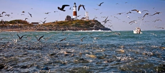 Blitz at the lighthouse Blitz at the lighthouse