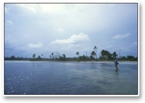Wading Wading