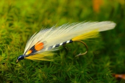 Black Ghost Black Ghost