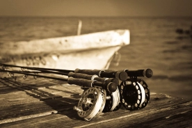 Sepia reels Sepia reels