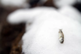 Small and cold Small and cold