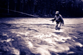 B/W in motion B/W in motion