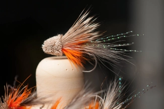 One incarnation One incarnation