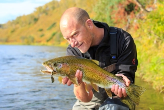 On the mouse-popper On the mouse-popper