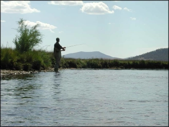 T-shirt fishing T-shirt fishing