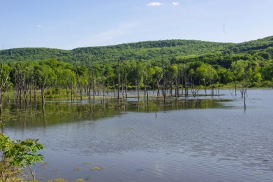 A bike accessible pond A bike accessible pond