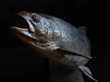 'Nymphing' Brown trout 'Nymphing' Brown trout