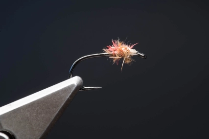 Dubbed Bare Hook Nymph Dubbed Bare Hook Nymph