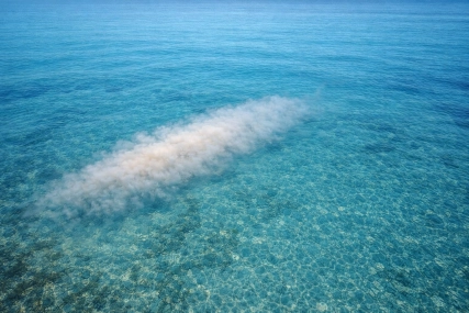 A bonefish mud seen from a drone A bonefish mud seen from a drone