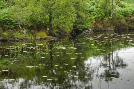 Assynt lochan Assynt lochan