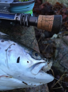 Stiff upper lip Stiff upper lip