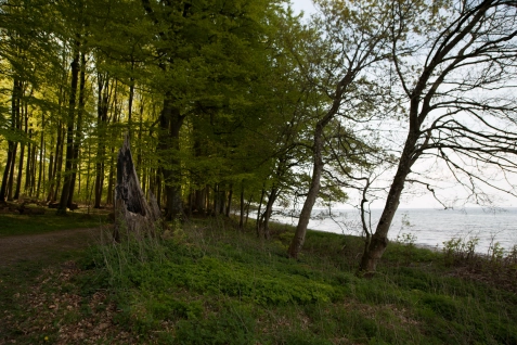 Danish coast Danish coast