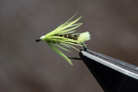 Chartreuse Tag Chartreuse Tag