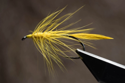 Yellow Big Hole Demon Yellow Big Hole Demon