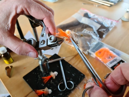 Quite the mess Quite the mess