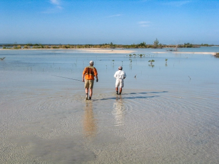 In the shallow of the flat In the shallow of the flat