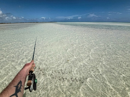 There ... see them? There ... see them?