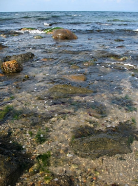 The Danish coast The Danish coast