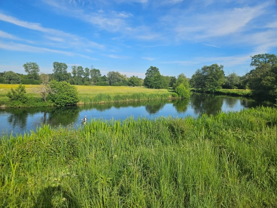 River Test River Test