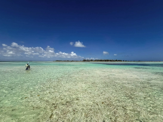 Cuban flat Cuban flat