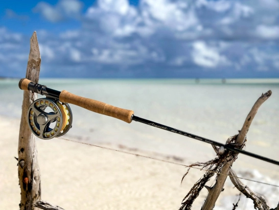 Gear waiting for some Cuban action Gear waiting for some Cuban action