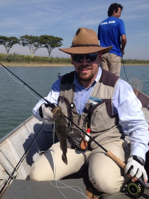 Small peacock bass Small peacock bass