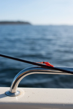 A small orange fly onboard a boat A small orange fly onboard a boat