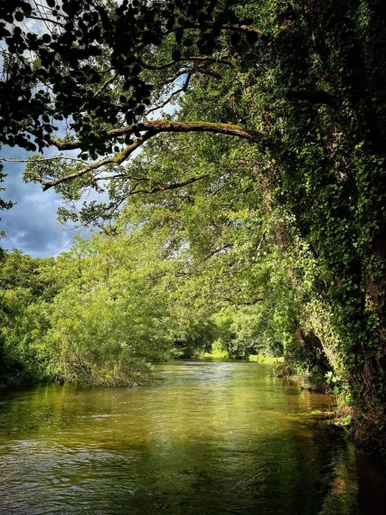 The River Itchen The River Itchen