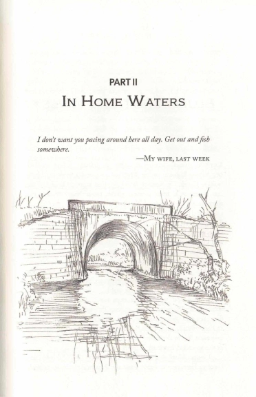 Section II cover Section II cover