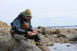 Choosing a fly Choosing a fly