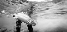 B/W underwater B/W underwater