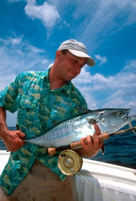 Florida Albacore Florida Albacore