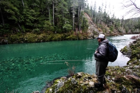 Emerald green waters Emerald green waters