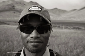 Brown drake portrait Brown drake portrait