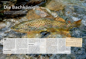 Magazine spread Magazine spread