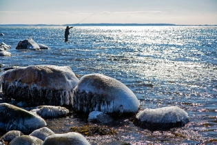 In the light In the light