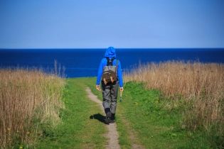 On the way to the water On the way to the water