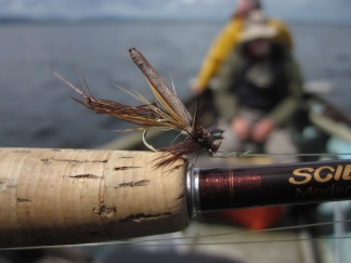in an Irish lake in an Irish lake