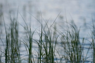 Impressionistic Impressionistic