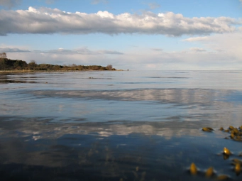 The reason The reason