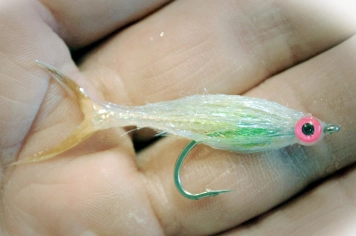 In the hand In the hand