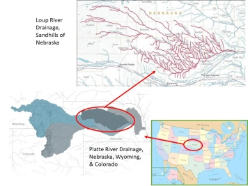 The drainage The drainage