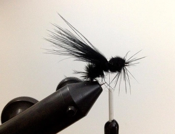 Step 8 - back Step 8 - back