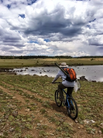 Heading into the wild Heading into the wild