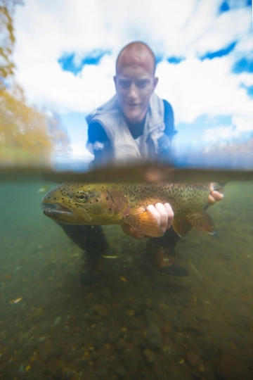 Underwater Underwater
