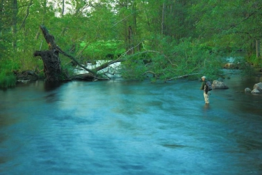 The silky stream The silky stream