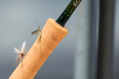 The imitation and the natural The imitation and the natural