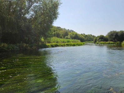Chalkstream flowing peacefully Chalkstream flowing peacefully